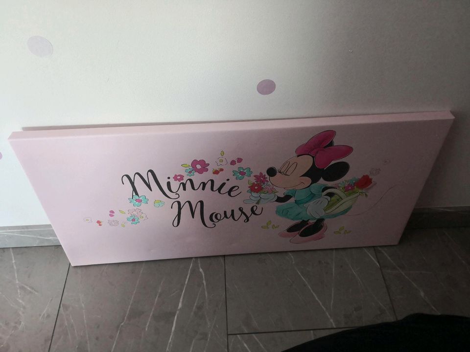 Minnie Mouse Leinwand in Nürnberg (Mittelfr)