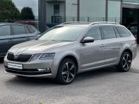 Skoda Octavia Combi 2.0 TDI Style 4x4 DSG LED Standhzg Sachsen - Annaberg-Buchholz Vorschau