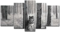 5 Tafeln Wand-Kunst Bild Grau/Weißer Wolf Niedersachsen - Northeim Vorschau
