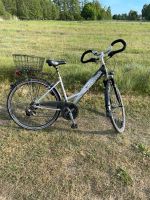 Fahrrad 28 Zoll Brandenburg - Werder (Havel) Vorschau