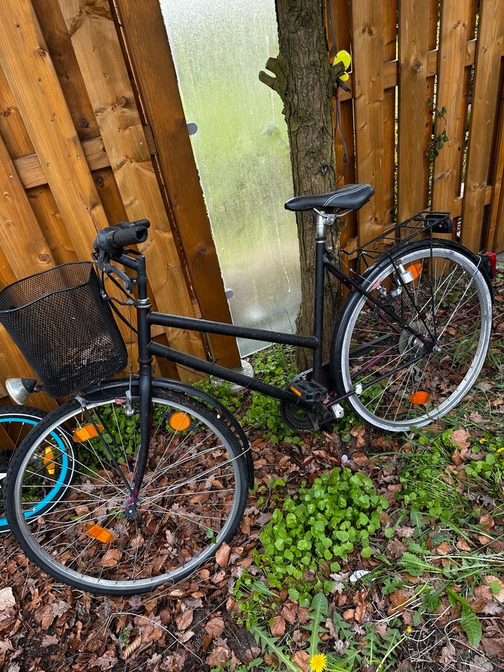 Verschiedene Fahrräder Kinderfahrräder in Gifhorn