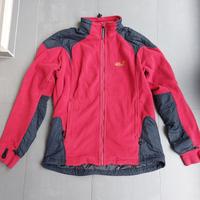 Jack Wolfskin Herren Fleece Polartec Jacke Gr. L Hessen - Frielendorf Vorschau