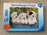 Ravensburger Hunde Puzzle Nordrhein-Westfalen - Südlohn Vorschau