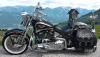 Harley Davidson Springer Köln - Bocklemünd/Mengenich Vorschau