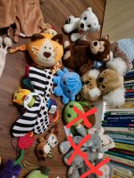 Kuscheltiere Babyspielzeug abzugeben Niedersachsen - Damme Vorschau