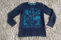 Dopodopo Dino Langarm Shirt Dinosaurier Pullover Gr.122 Thüringen - Gotha Vorschau