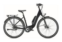 Falter E-BIKE E 8.3 RT Mecklenburg-Vorpommern - Anklam Vorschau