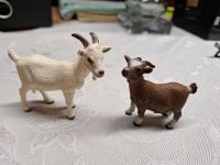 Schleich Ziege mit Zieglein Schleswig-Holstein - Rumohr Vorschau