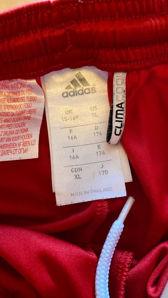 FC Bayern München Trikot Saison 2012/13 Triple Kindergröße 176 in Ingolstadt