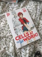 Cells at Work! Manga Band 1 Thüringen - Jena Vorschau