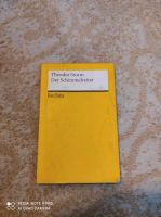 Der Schimmelreiter Theodor Storm Reclam Baden-Württemberg - Trossingen Vorschau