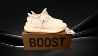 Adidas Yeezy Boost 350 V2 Triple White (45 / 11) Hessen - Wiesbaden Vorschau