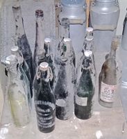 Alte Flaschen gebraucht Baden-Württemberg - Adelsheim Vorschau