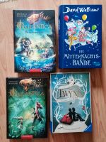 Jugendbücher : Rulantica, TWYNS, David Walliams Baden-Württemberg - Meckenbeuren Vorschau