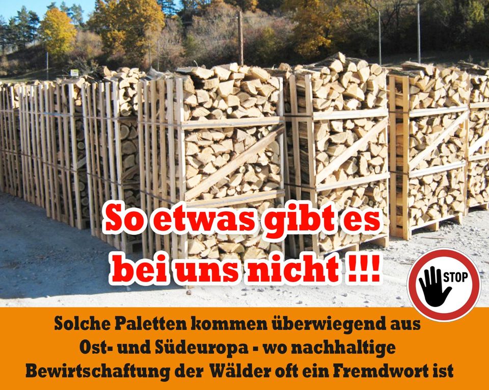 ab 4 m³ bis 35 m³ -  bis 40 Km um Halle Merseburg Petersberg Wettin Kaminholz, Brennholz, Feuerholz, Holzvergaser, Kamin, Holz, Feuer, Brenn in Halle