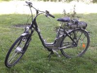 E-Bike Pegasus für Bastler Niedersachsen - Hammah Vorschau