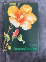 Zimmerblumen Grunert Niedersachsen - Hildesheim Vorschau