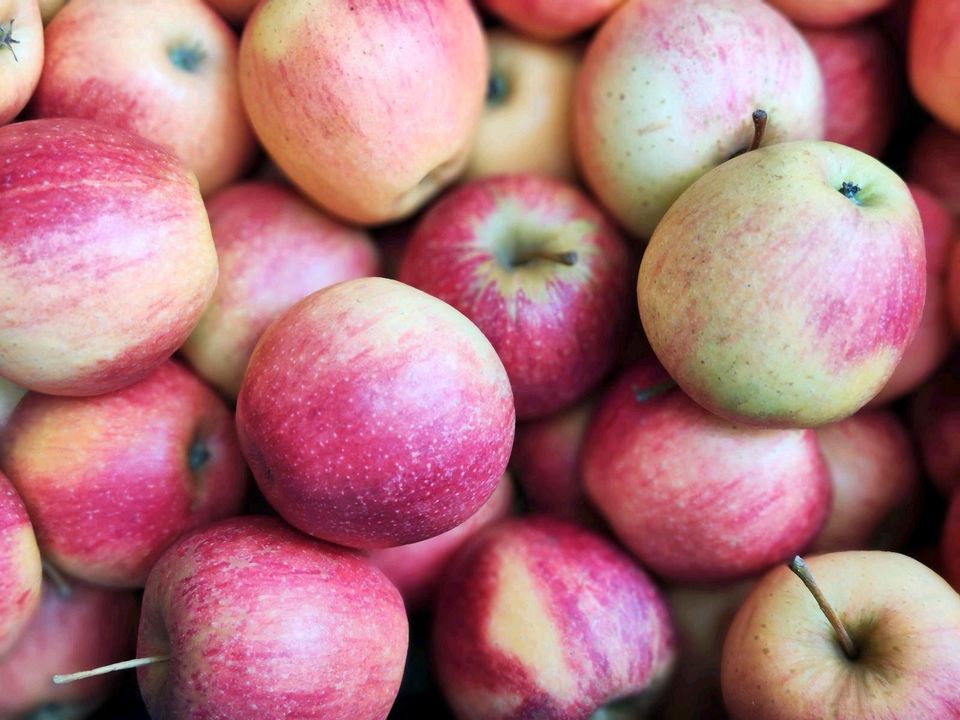 Neue Kartoffeln Spargel grün Obst Gemüse frisch geerntet Top in Teningen