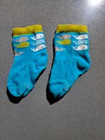 Frugi Ewers Socken 0-6 Monate Gr. 18/19 Dresden - Neustadt Vorschau