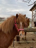 Yoga und Reiten Baden-Württemberg - Ravensburg Vorschau