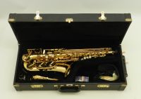 Altsaxophon Trevor James Revolution Koffer und Mundstück DR23-246 Sachsen - Görlitz Vorschau