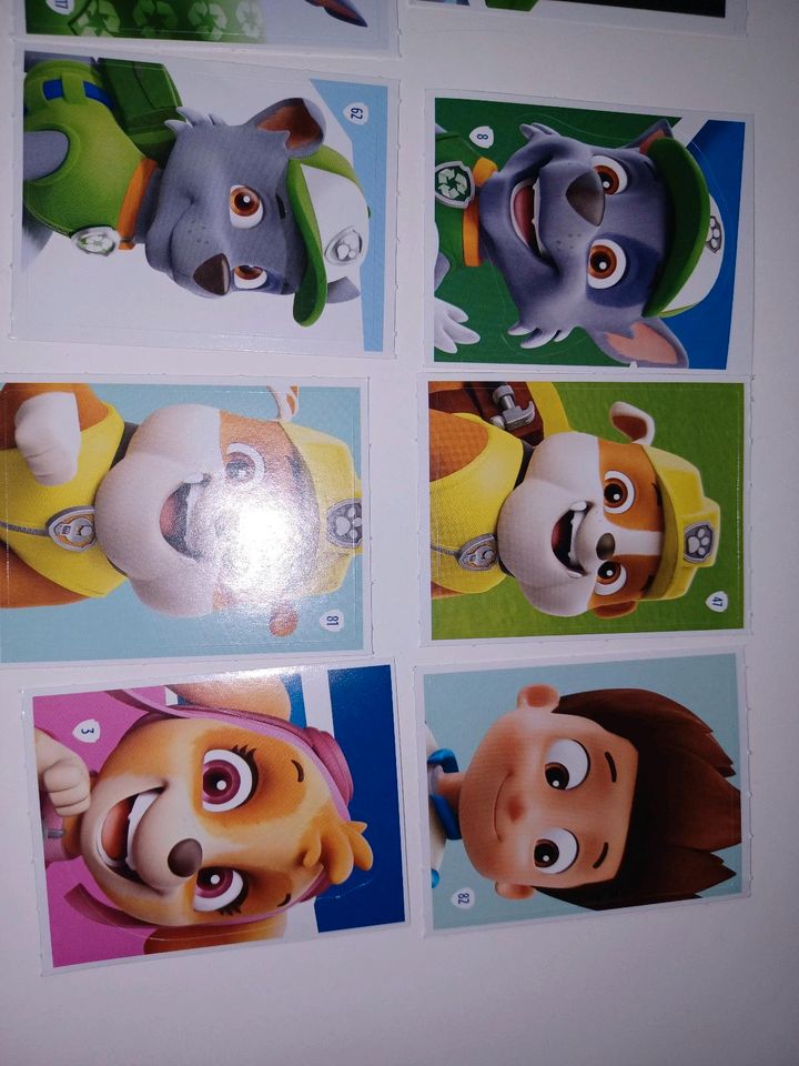 Paw Patrol Aldi sticker in Bad Zwischenahn