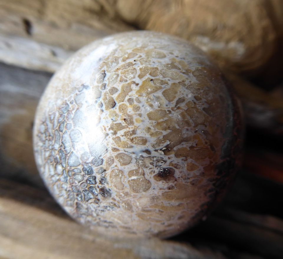 Edelstein-Kugel versteinerter Saurier Knochen aus Utah USA in Füssen