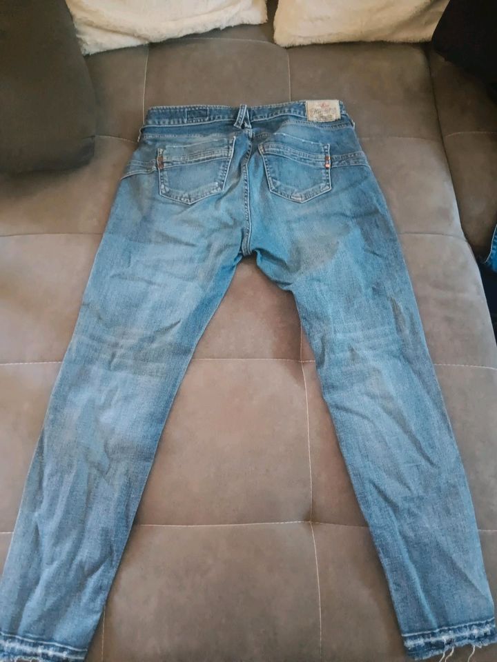 Herrlicher Jeans Touch cropped 32 in Bielefeld