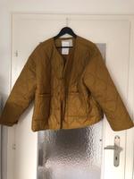Neue kurze Steppjacke von Gina Benotti Herzogtum Lauenburg - Schwarzenbek Vorschau