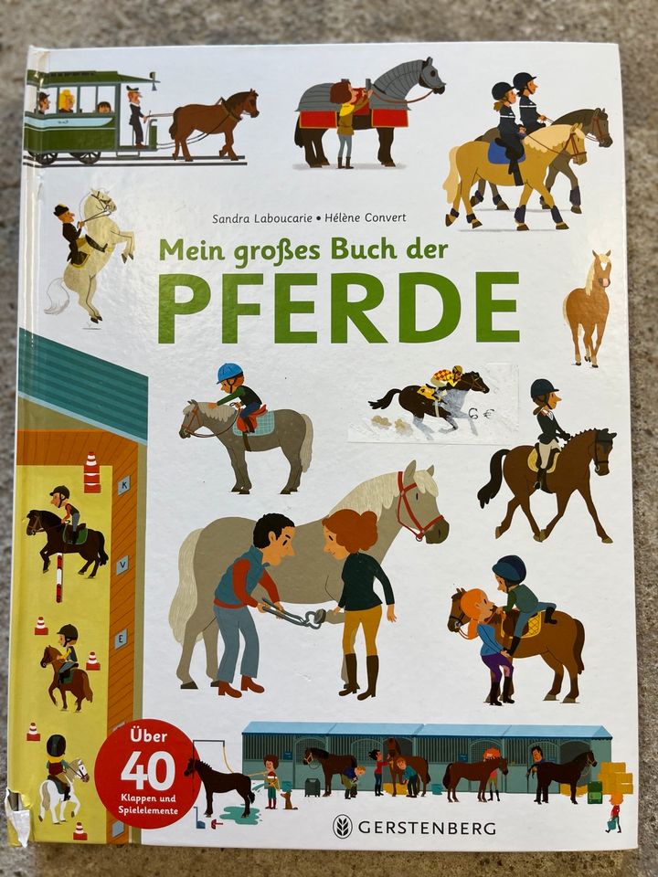 Gerstenberg Mein großes Buch der Pferde Pferdebuch in Magdeburg