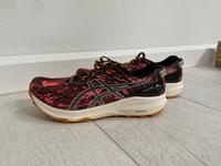 Asics Fuji Lite 3 Women Damen Laufschuhe Gr. 41,5 Brandenburg - Cottbus Vorschau