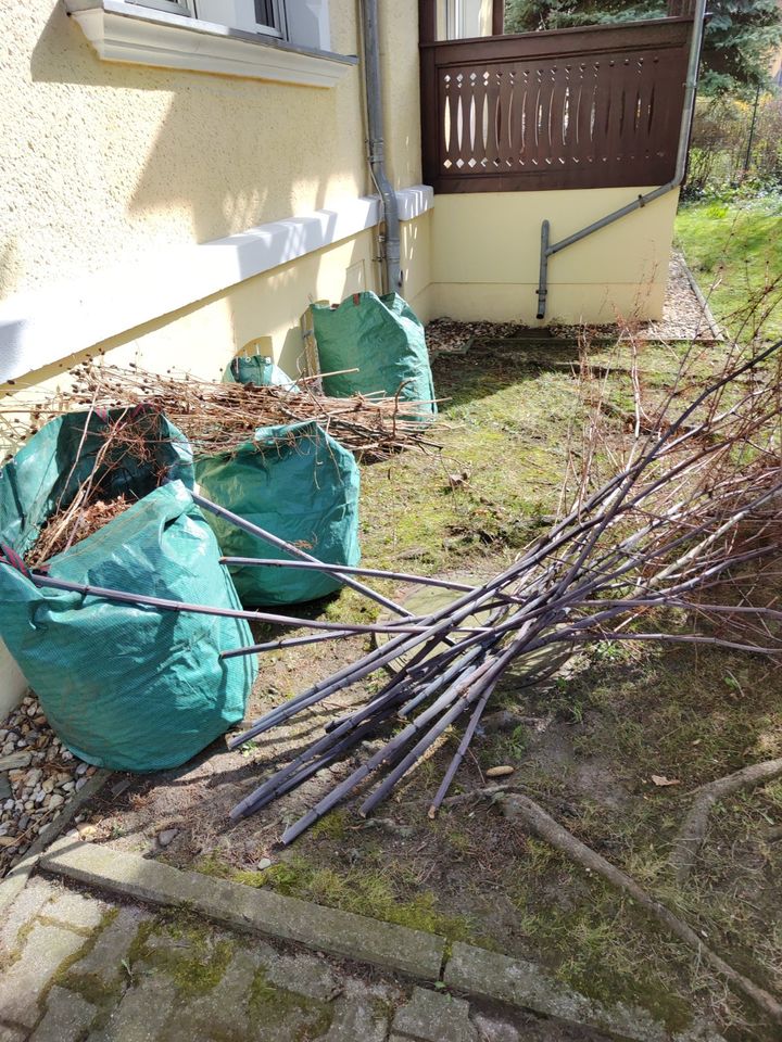 Gärtner,Gartenarbeiten,Hecke,Baumschnitt,Laub,Schuppenabriss,Zaun in Leipzig