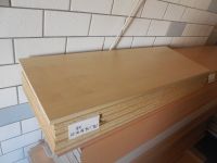 8 Spanplatte Spanplatten 33,5x91,5cm Dekor ID Ahorn NB 2,45qm a4€ Thüringen - Zeulenroda Vorschau