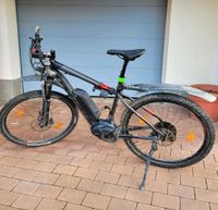 Trek Powerfly 9 Hardtail e-bike Bayern - Weilbach Vorschau