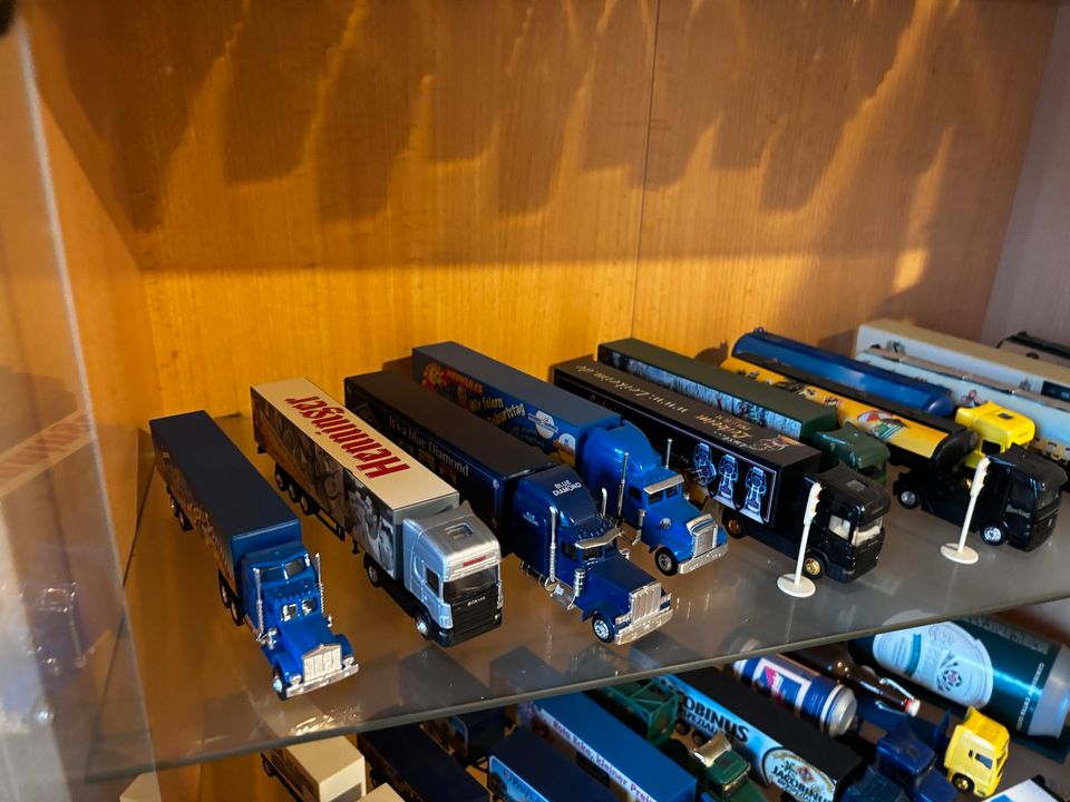 Konvolut Modellautos und Motorräder Trucks in Schauenburg