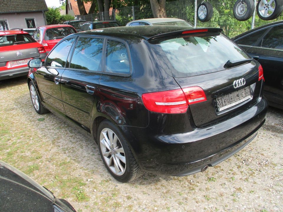 Audi A3 Sportback 1.6 TDI Ambition in Mahlow