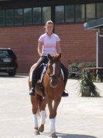 Suche Reitbeteiligung (RsP) Düsseldorf - Lichtenbroich Vorschau