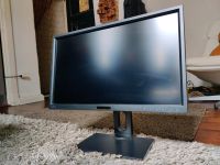 Monitor 24 Zoll WQHD BenQ 2420PT  2.560 x 1.440 Grafikmonitor Kiel - Schreventeich-Hasseldieksdamm Vorschau