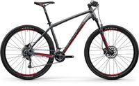 CENTURION Backfire Pro 200 29" anthrazit versch. Größen MTB NEU! Sachsen - Langenweißbach Vorschau