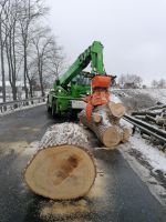 Baumpflege - Fällarbeiten - Problembaumfällung Schleswig-Holstein - Süderbrarup Vorschau