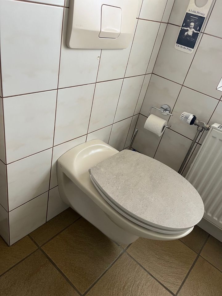 Waschbecken, WC, Urinal in Elsdorf