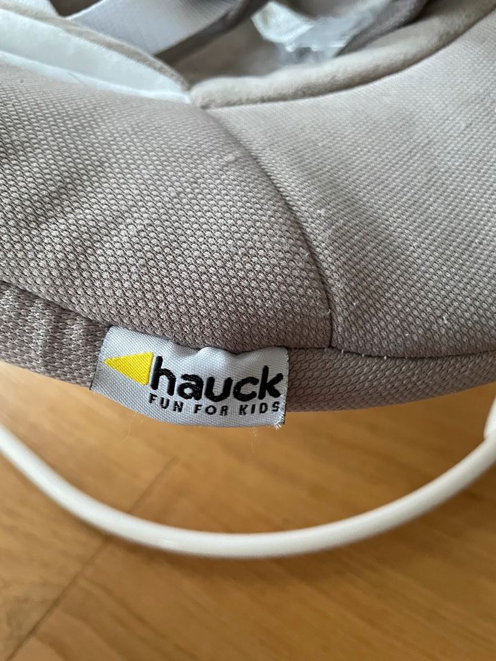 Hauk Baby bouncer Deluxe 2in1 in Hamburg