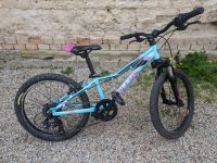 Fahrrad Kinderfahrrad 20Zoll Kellys Lumi 50 Thüringen - Jena Vorschau