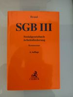 SGB III Sozialgesetzbuch 3 Arbeitsförderung Kommentar 6. Auflage Bayern - Gundelsheim Vorschau