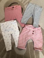 Baby Hosen Leggings 56/62 Wanzleben - Hohendodeleben Vorschau