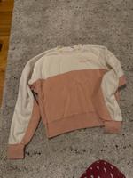 Champion Fleece Pullover Gr.S Nordrhein-Westfalen - Bornheim Vorschau