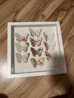 Bild mit 3D Schmetterlingen Dortmund - Schüren Vorschau