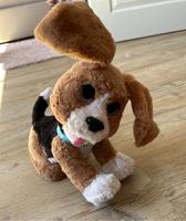 FurReal Hund, Benni der sprechende Beagle Schleswig-Holstein - Neudorf-Bornstein Vorschau