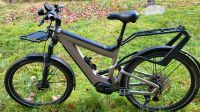 Riese Müller superdelite gt e bike ebike 2022 fully Hessen - Hohenahr Vorschau