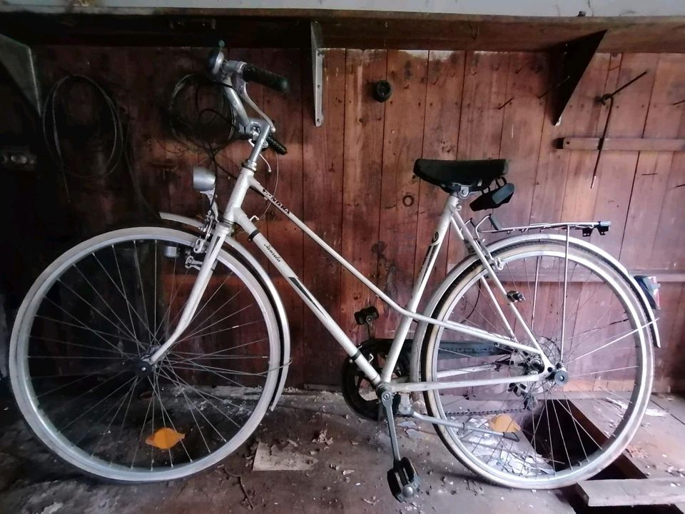 Vintage Oldtimer ! Fahrräder in Kulmbach